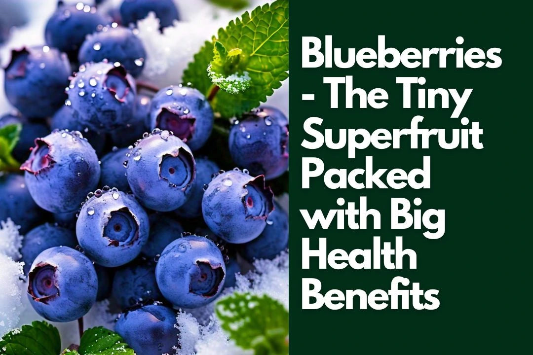 Blueberries - The Tiny Superfruit Packed with Big Health Benefits